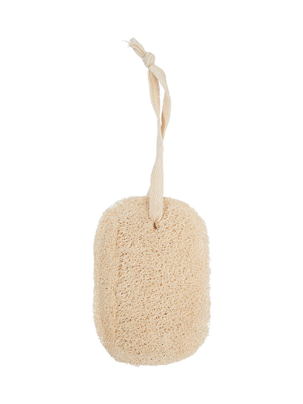 Afwasspons ovaal aan koord