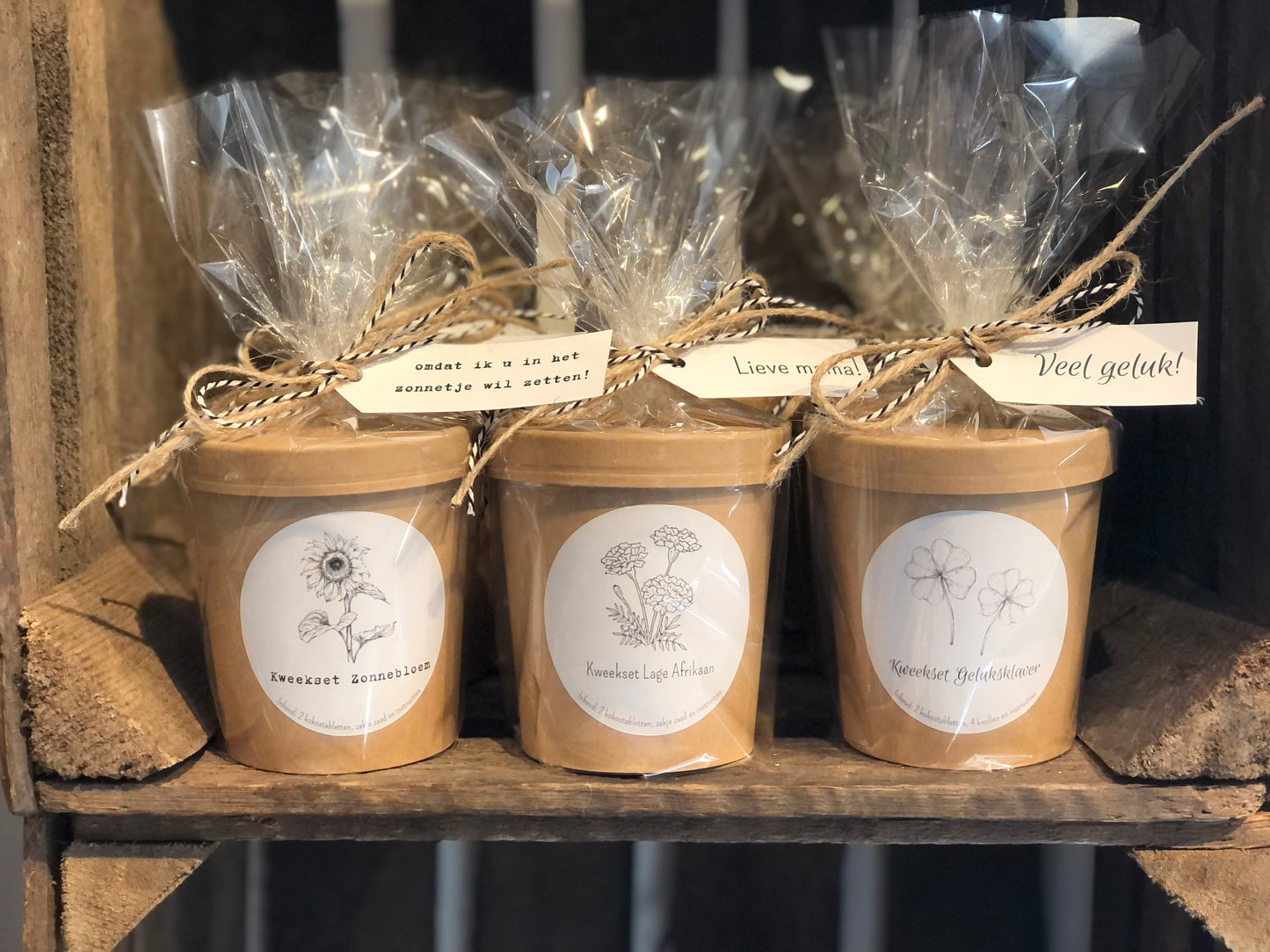 Kweekset bloemen